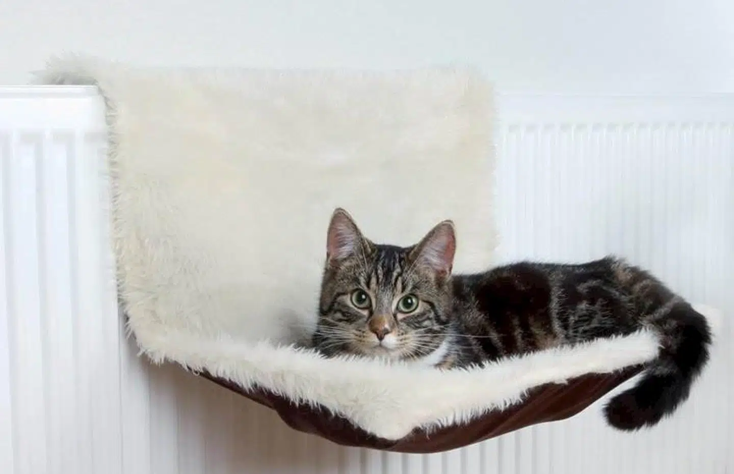 Hyggeplads med langhåret plys