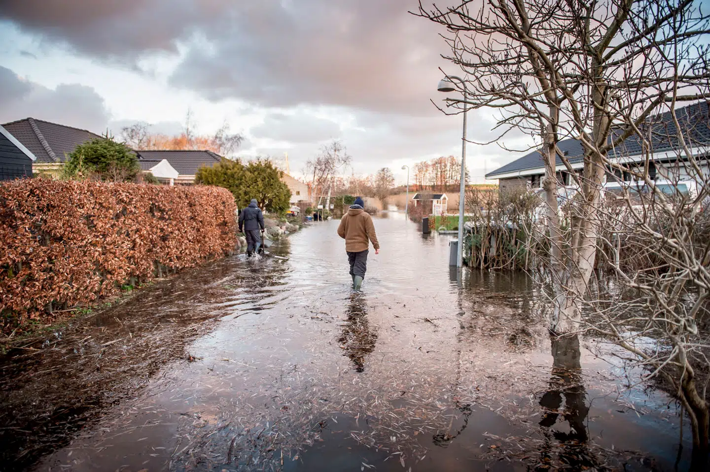 Jyllinge Nordmark ved Roskilde Fjord, onsdag den 2. januar 2018. Ved Jyllinge Nordmark har der har været stigninger i vandstanden i forbindelse med stormfloden.. (Foto: Mads Claus Rasmussen/Ritzau Scanpix)