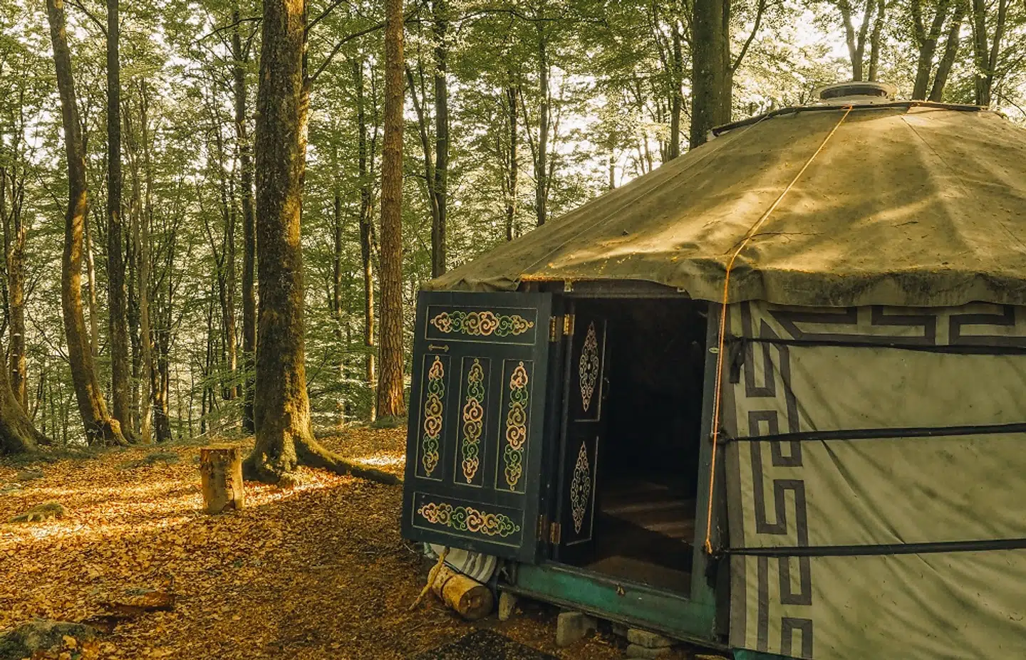 Den traditionelle mongolske jurt er en både hyggelig og afslappende måde at bo på - også i de skånske skove. Foto: Juila Cathrine This