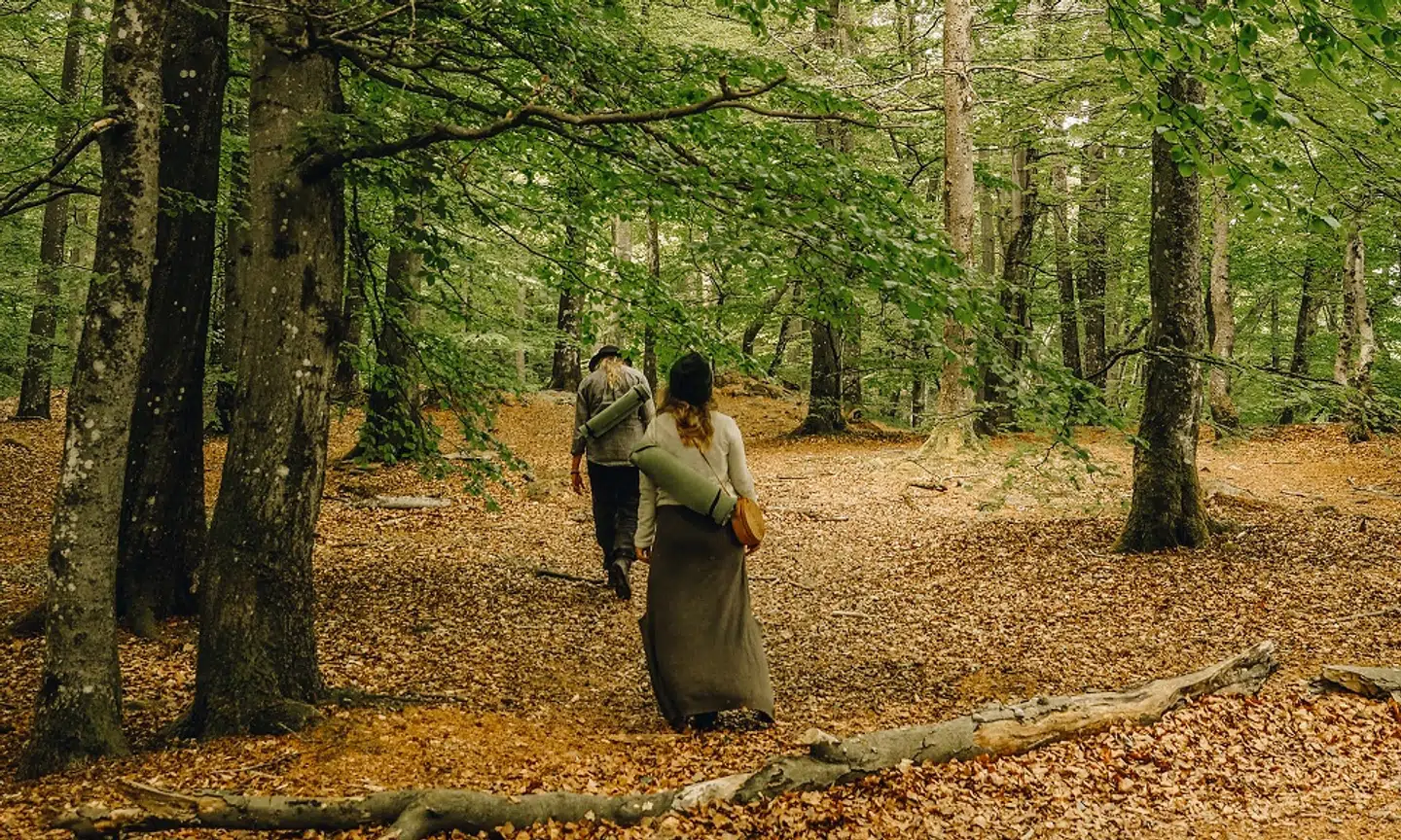 Yoga, indre ro og mindfullness. Naturen og dens stilhed er en perfekt måde at få styr på tankemylderet, og finde sindsro. Foto: Juila Cathrine This