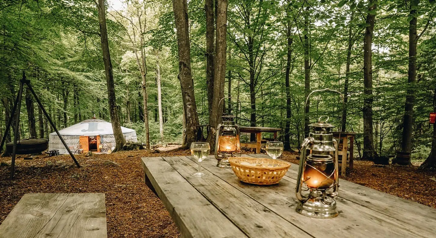 Væk fra hverdagen og ud i naturen. Nogle gange er det bedste, man kan gøre for sig selv, at komme væk fra dagligdagen og ud i naturen. Foto: Juila Cathrine This