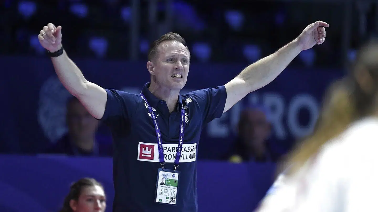 EM kamp mellem Frankrig - Danmark i Nantes, torsdag den 6 december 2018. (Foto: Liselotte Sabroe/Scanpix 2018)