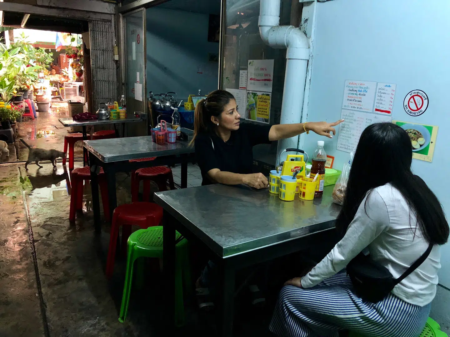 Hjemløse katte snor sig om plastikskamlernes ben i gadekøkkenet.