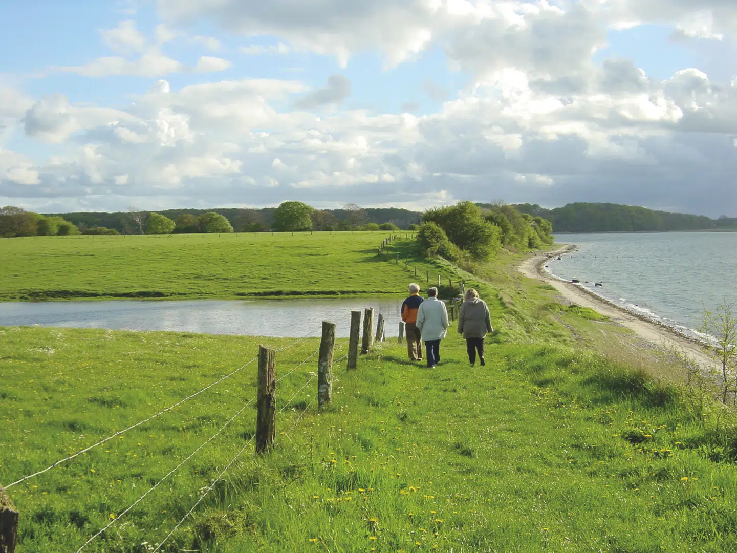 Naturen i Sønderjylland noget ganske særligt, og byder på mange små unikke perler. Foto: Visit Sønderjylland