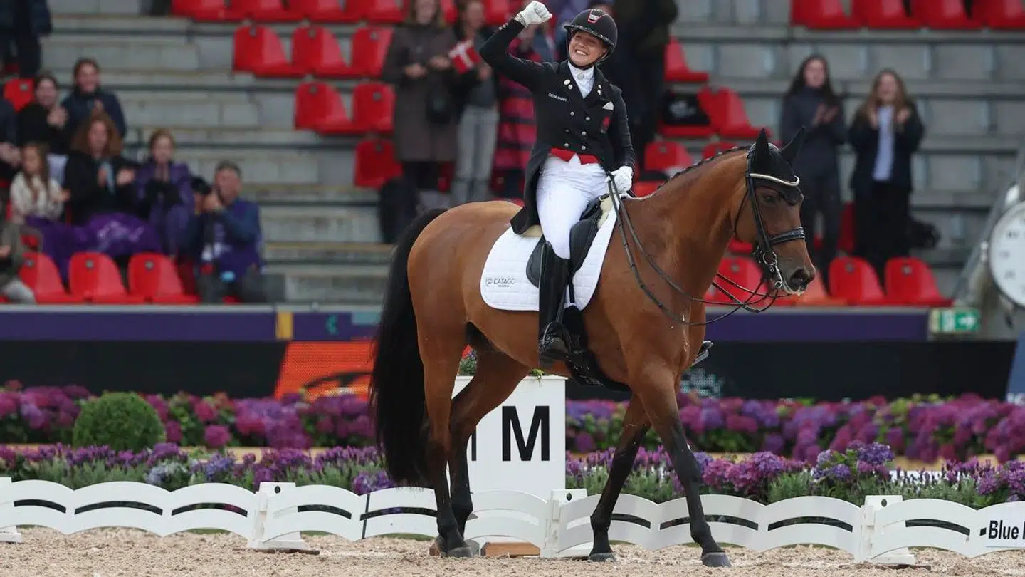 Cathrine Laudrup-Dufour og Vamos Amigos til sidste års VM i dressur.