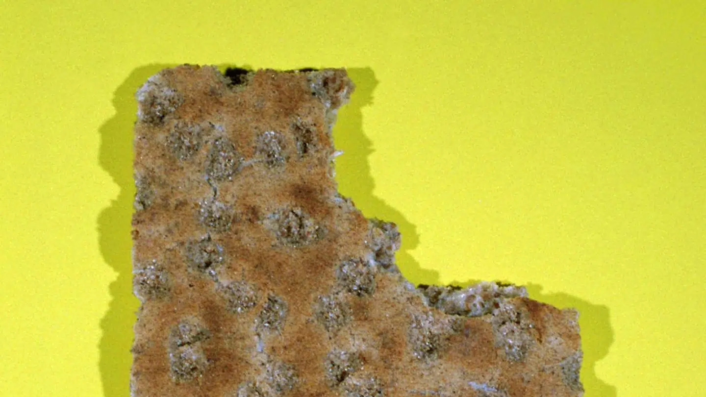 En hurtig sund snack? Ikke altid. Dit knækbrød kan være proppet med fedt og sukker.