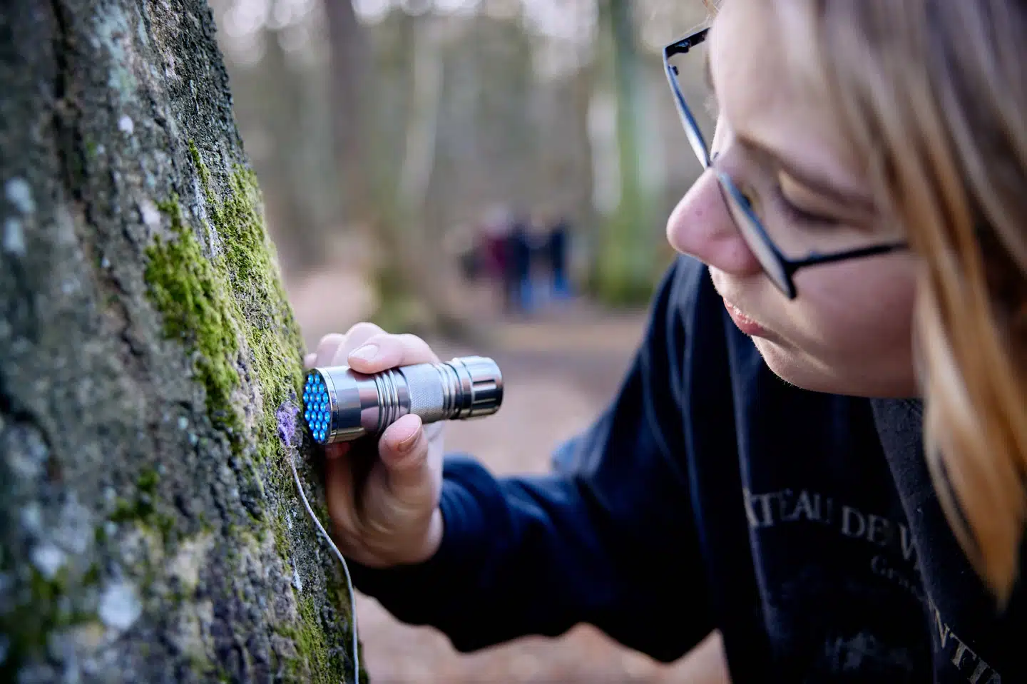 En elev undersøger et træ i forbindelse med Masseeksperiment 2023. Foto: Thomas Evaldsen.