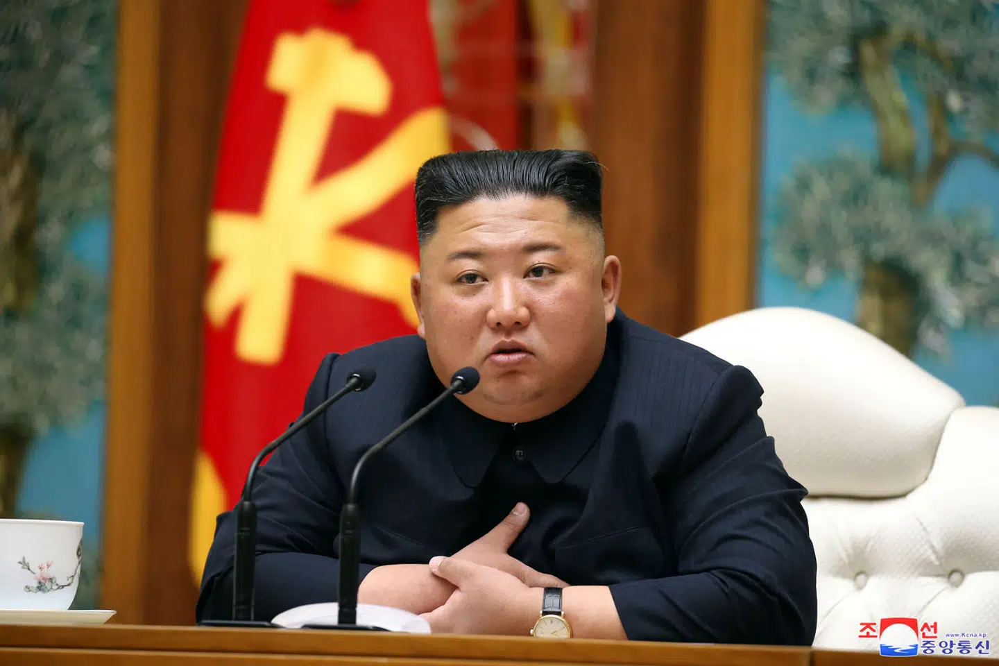 Nordkorea med diktator Kim Jong-un i spidsen gør klar til at lukke adskillige ambassader som en konsekvens af økonomiske vanskeligheder.