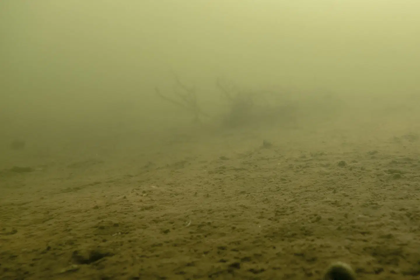 Stigende iltsvind i de danske have har vakt stor debat siden sommeren. (Arkivfoto).