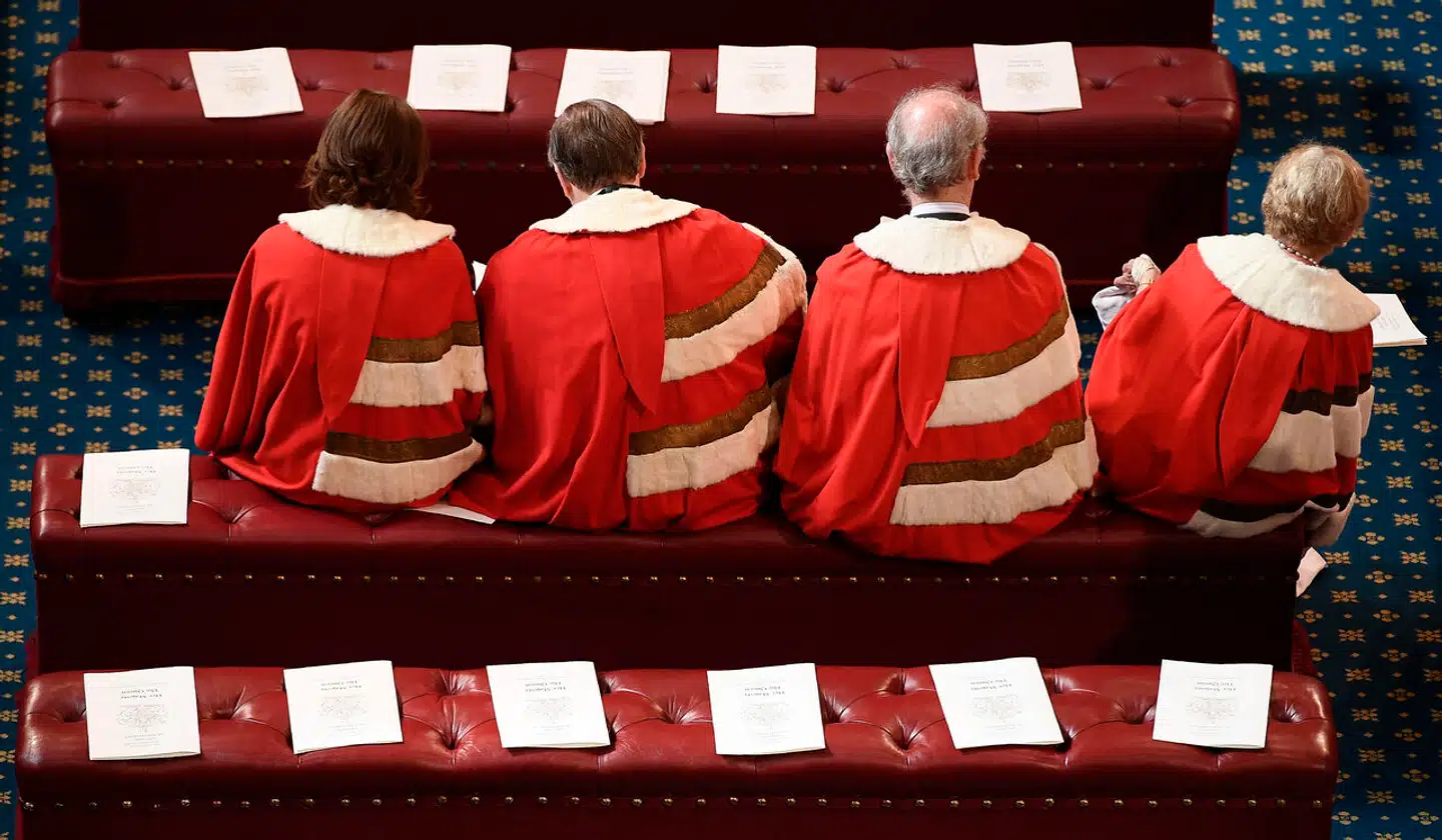 For en del briter fra erhvervslivet, embedsmænd og politikere er den store drøm at få en plads i Overhuset med en tilhørende fornem titel og ret til at bære hermelinskåbe.