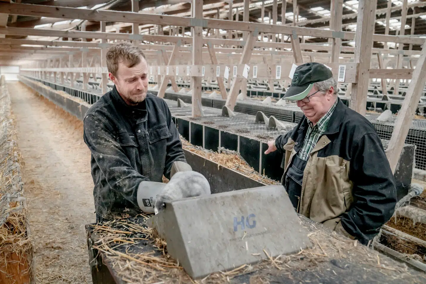 Minkavler Kim Henriksen med sin far Per, da han fredag 13 november 2020 aflivede sit sidste dyr.