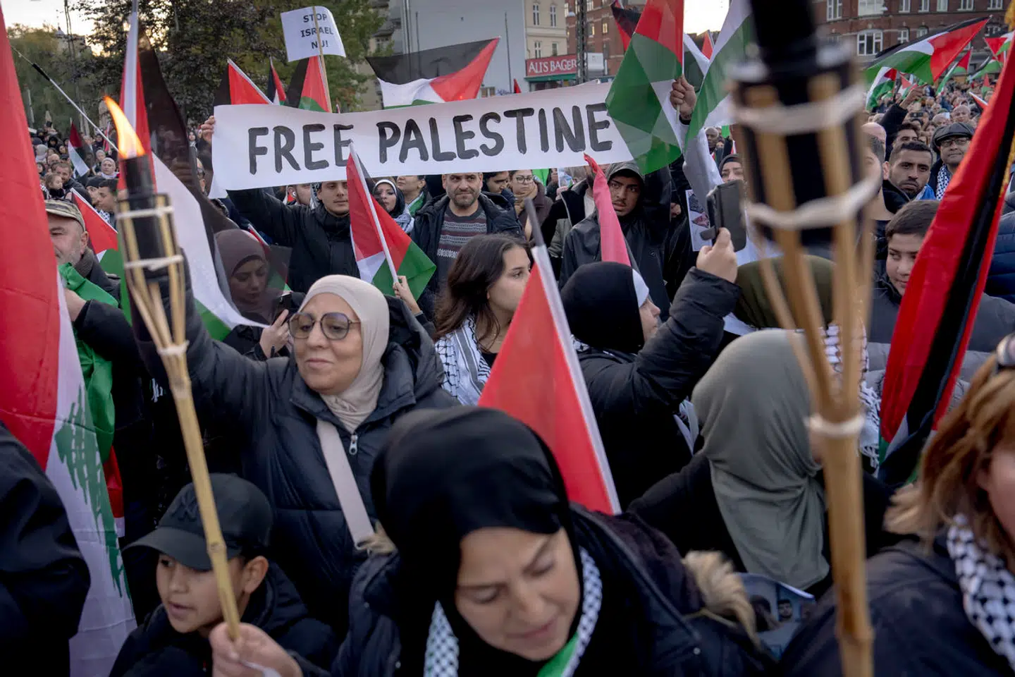Demonstration for Palæstina i København 22. oktober 2023. Selvom der blev råbt »from the river to the sea, Palestine will be free«, betød det ikke, at alle demonstranter var imod alle israelere, skriver Nanna Hastrup i dette debatindlæg. Foto: Linda Kastrup, Scanpix