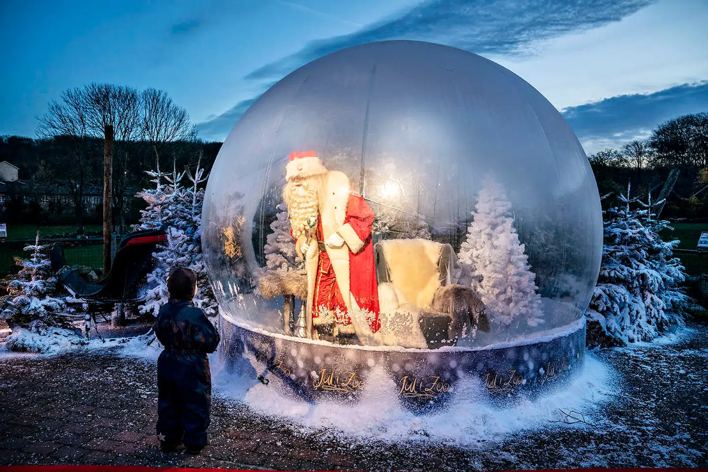 Julemanden i coronasikker plastikboble åbnede Jul i Zoo i Aalborg fredag den 13. november 2020. Julen bliver efter alt at dømme langtfra det, den plejer at være. Restriktioner kommer stadig til at gælde, og måske er der flere på vej, lyder det fra statsministeren.