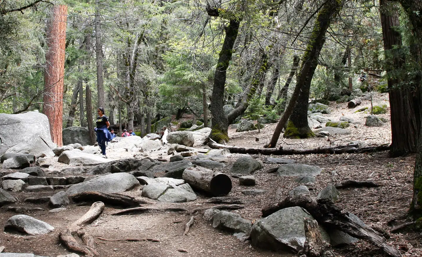 Det er let at finde vej på vandreruten Mist Trail.