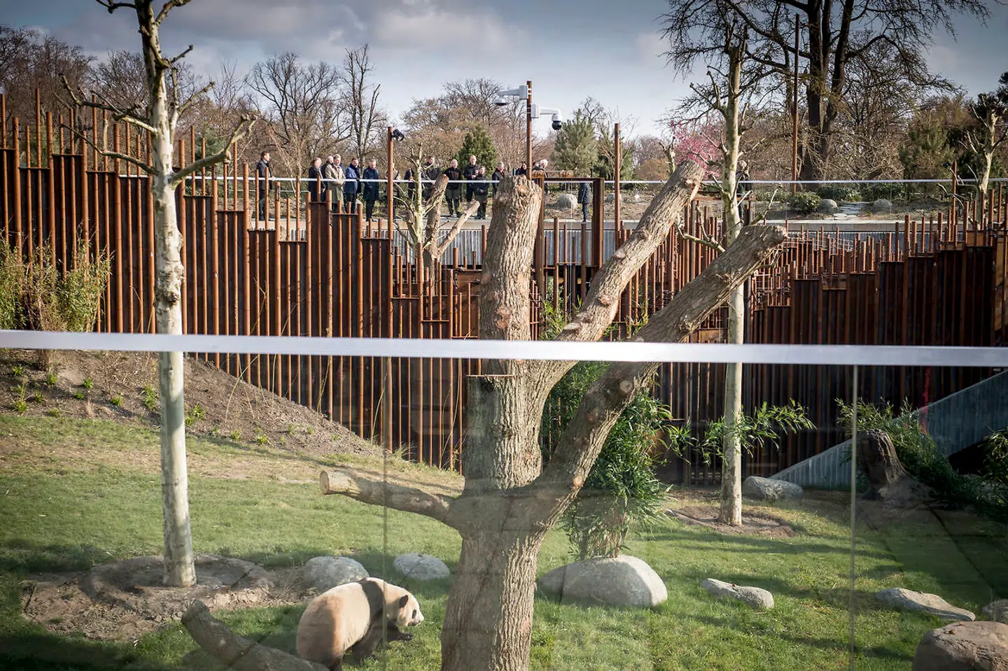 Åbning af Zoologisk Have i Københavns nye Pandaanlægget torsdag den 11. april 2019. Dermed lanceres også det fælles dansk-kinesiske pandaforskningsprojekt, hvis officielle betegnelse er Sino-Denmark Giant Panda joint research cooperation. Pandaerne Xing Er og Mao Sun ankom den 4. april 2019 til København. Pandaanlægget er tegnet af arkitekt Bjarke Ingels og BIG.