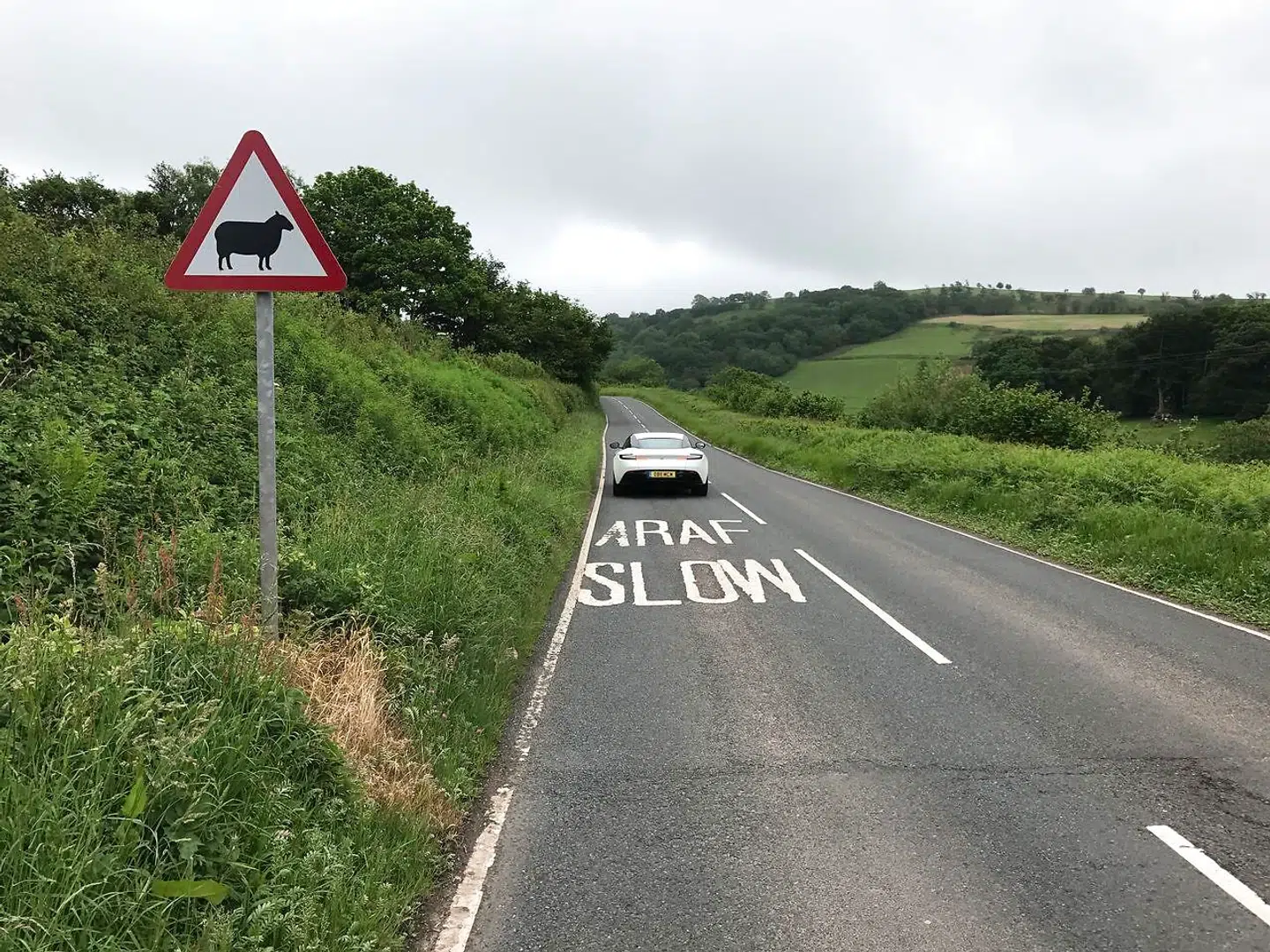 Araf betyder »sænk farten« på walisisk. Det står overalt langs strækningen, og det er ikke for sjov. For selv om du snupper turen en tidlig weekendmorgen, hvor de fleste potentielle medtrafikanter stadigvæk tæller får, så har de rigtige får altså været oppe længe, og de går gerne over vejen for lidt grønt græs.