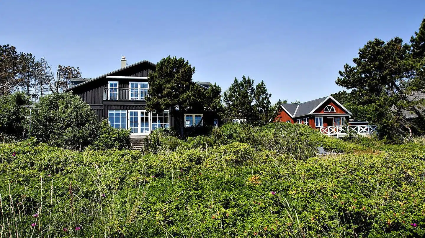 »Man skal ikke kunne arve sig til at blive en del af den ene procent, der tilsammen råder over næsten hver fjerde krone i Danmark,« skriver Sofie Lippert Troelsen, landsforkvinde i SF Ungdom. Arkivfoto: Bax Lindhardt/Ritzau Scanpix