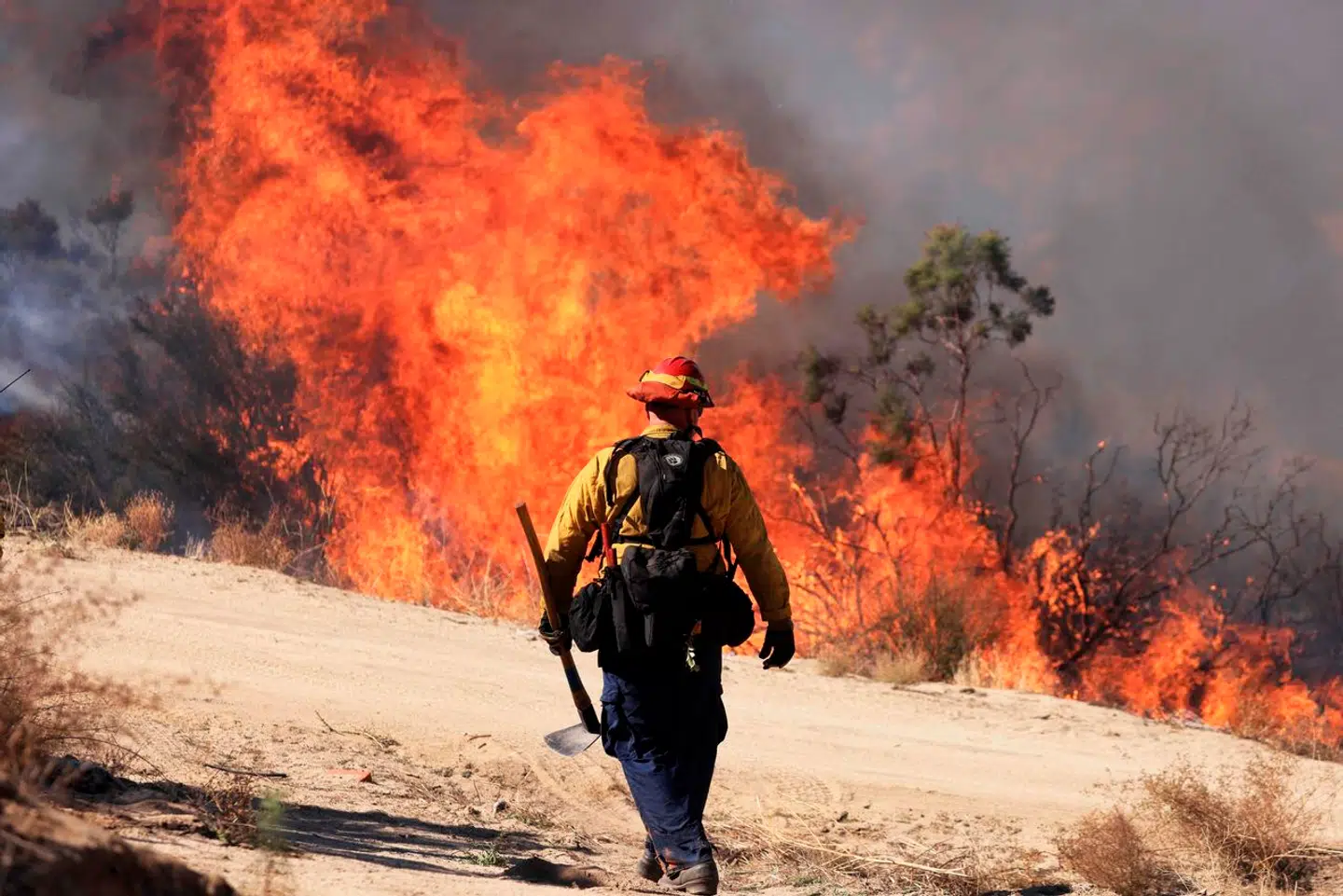 Den 30. oktober hærgede endnu en skovbrand et 900 hektar stort område i Aguanga, Californien. Foto: David Swanson, Scanpix