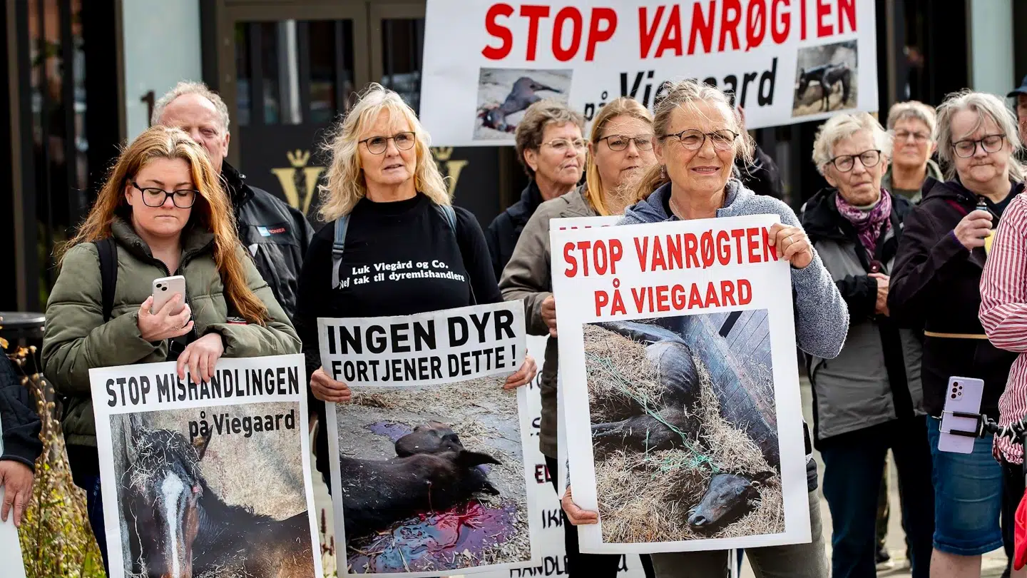 En af de mange demonstrationer mod Viegård Stutteri .