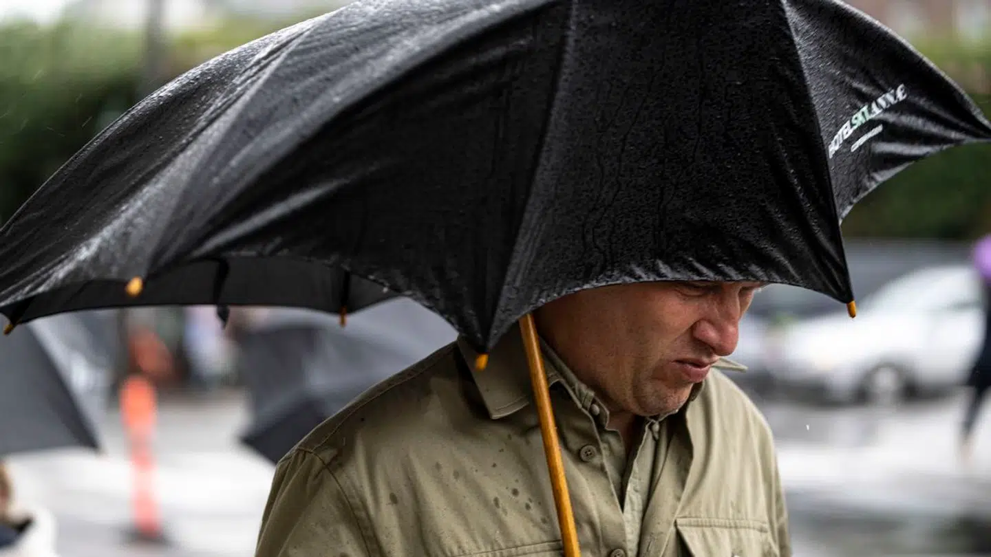 Endnu et vådt døgn har ramt os. Torsdag vælter regnen ned over særligt den østlige del af landet. (Arkivfoto)