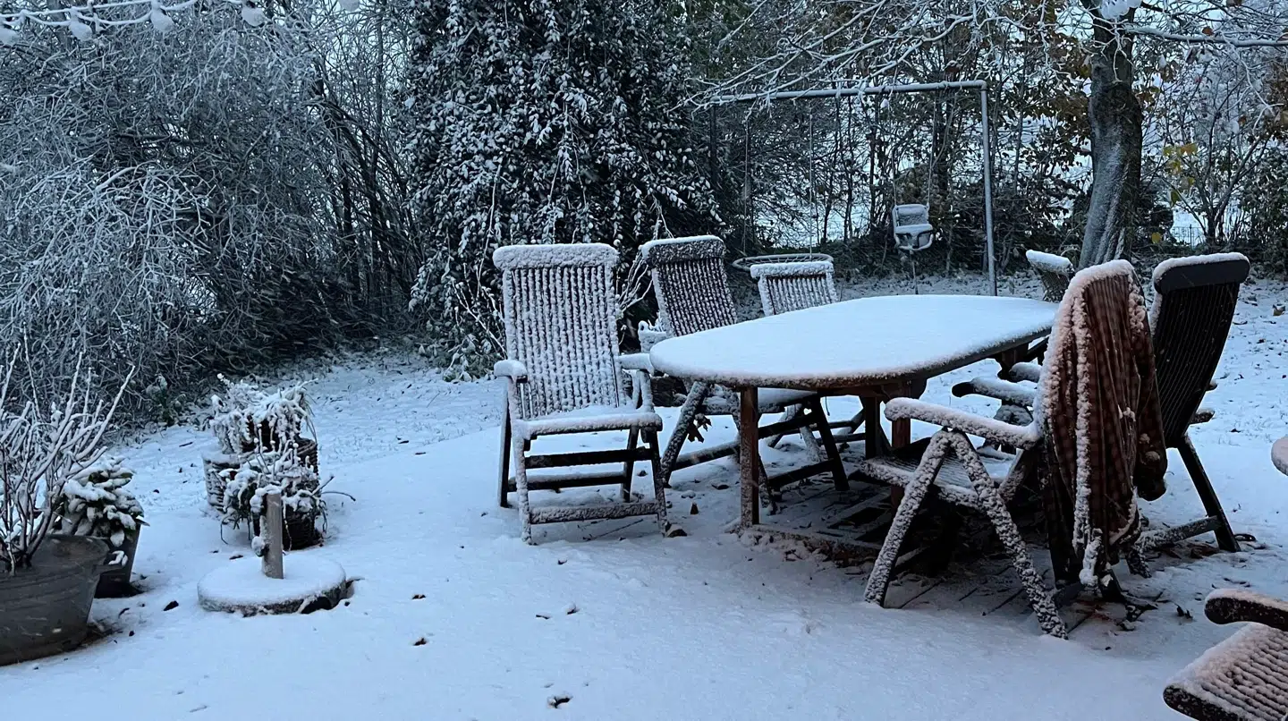 En baghave i Helsinge torsdag morgen.
