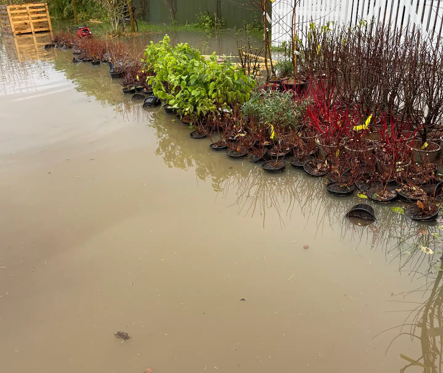 Dele af Sjælland får op mod 50 millimeter vand.