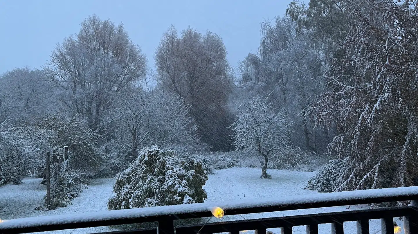 Sådan så Gribskov kommune ud torsdag morgen.
