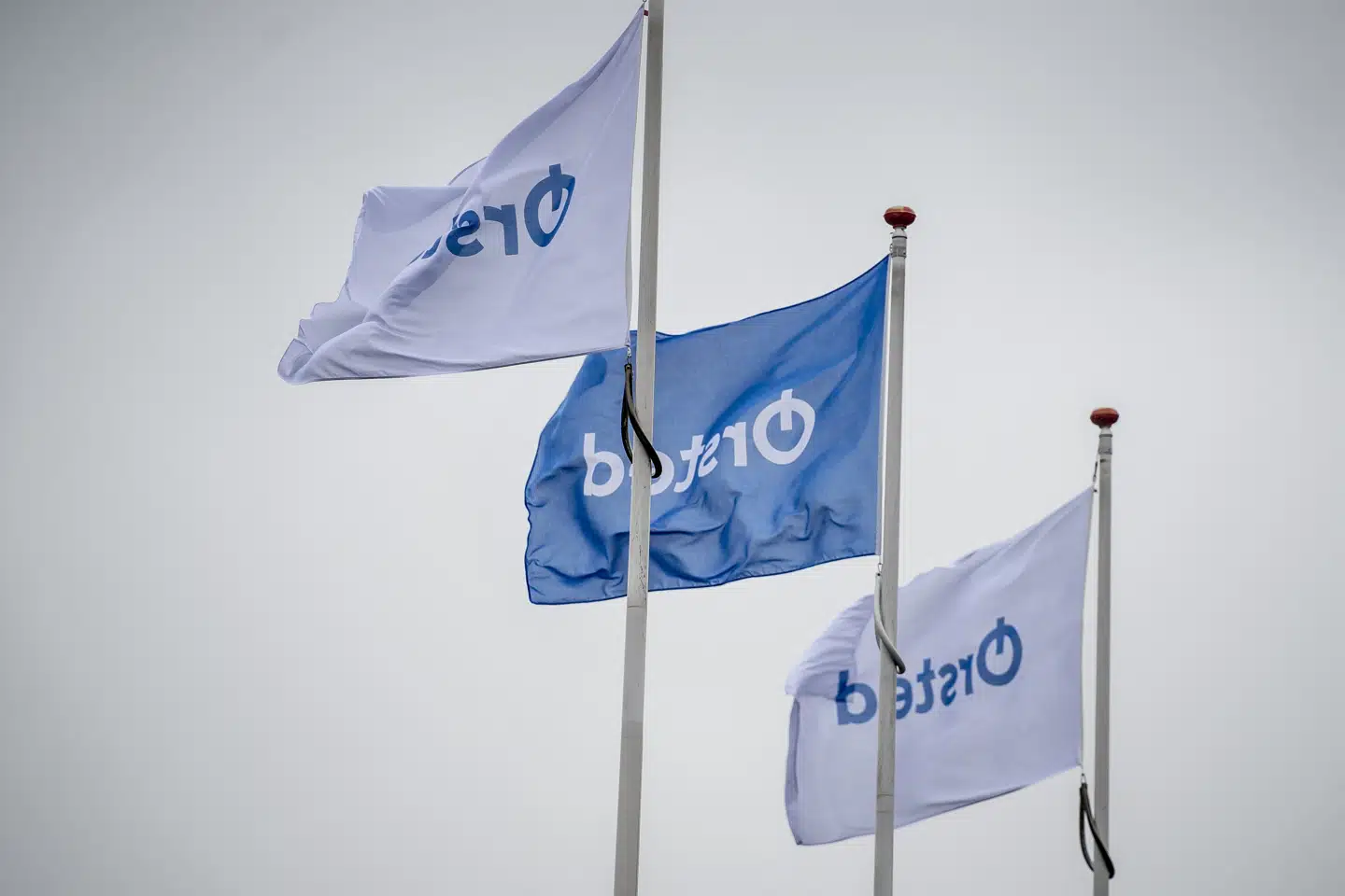 Ørsteds største ejer er den danske stat. Selskabet hed tidligere Dong Energy, men skiftede navn i 2017. (Arkivfoto).