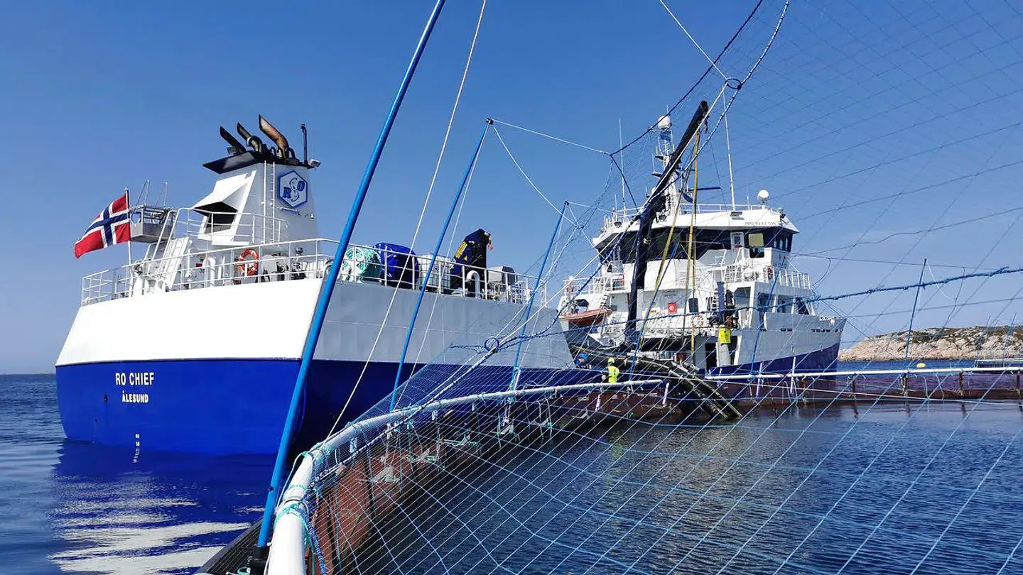 Her ses en Norcod-torskelandbrug ved Jamnungen i Norway.