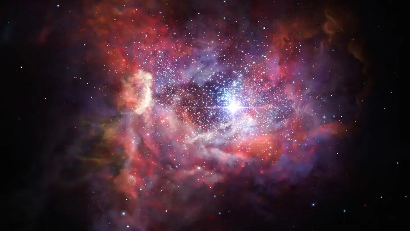 hemmeligheden bag succesfulde investeringer er at finde compounder-selskaberne – drevet af den stærkeste kraft i investeringsverden, fortæller Morten Springborg.