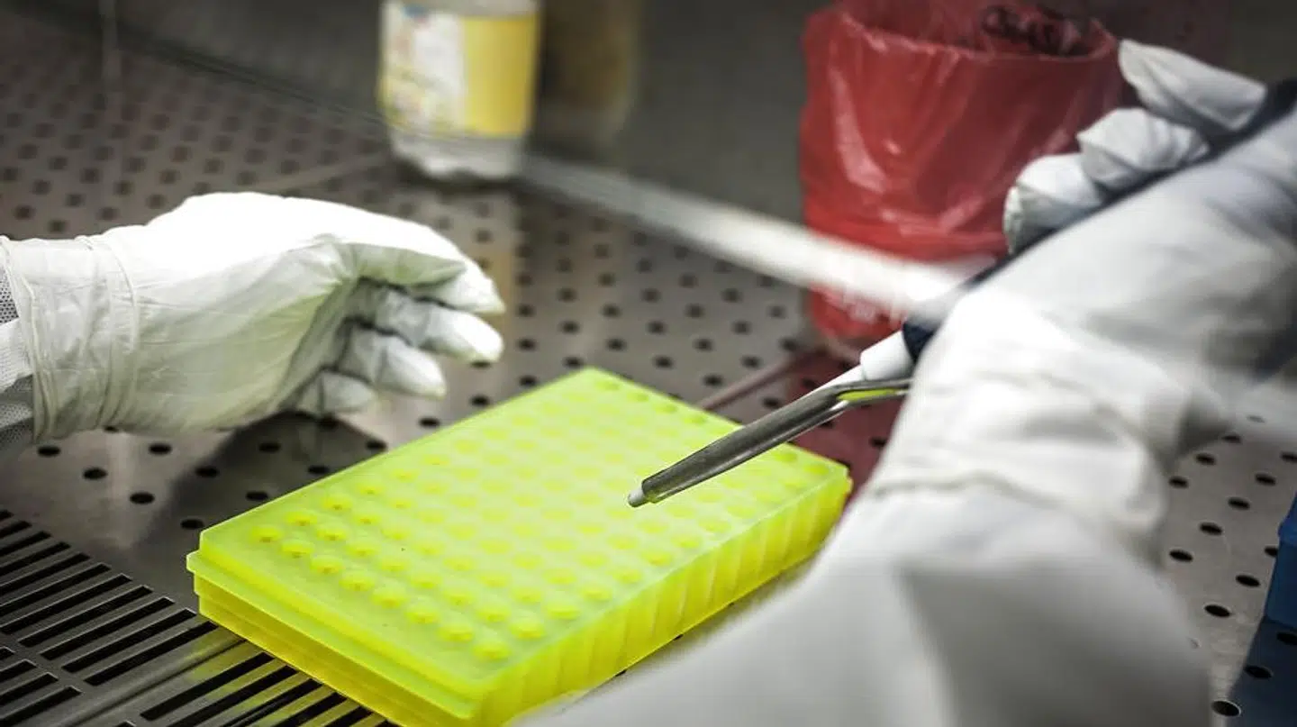 Lau Svenssen, der har skrevet Ugens Aktie-analyse om Bavarian Nordic, står klar til at udnytte sin fortegningsret. Deler du hans optimisme?