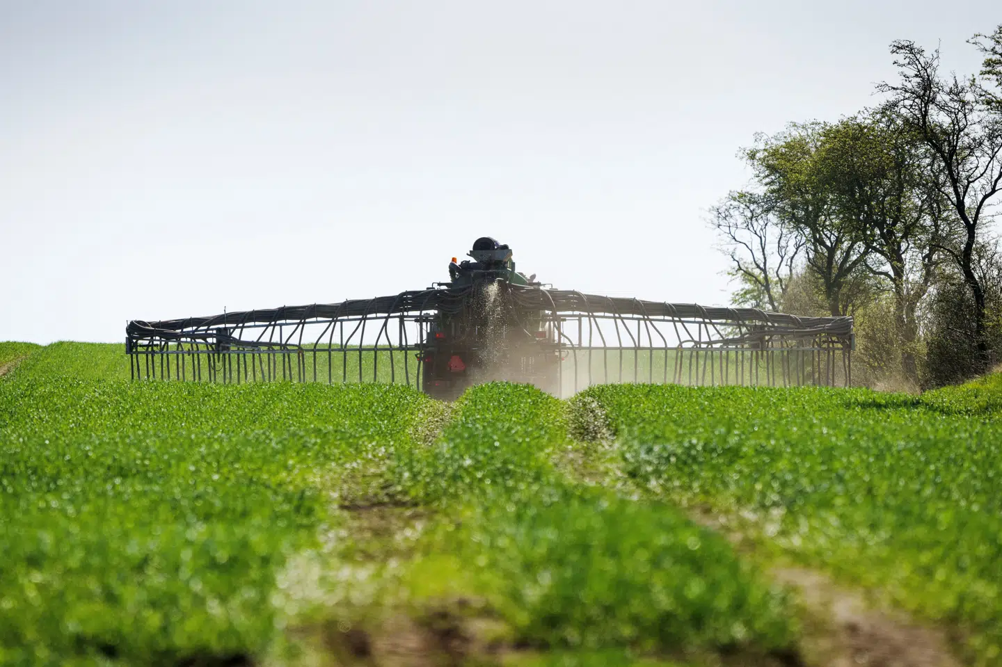 Pesticider bruges til at bekæmpe ukrudt, skadedyr og plantesygdomme. (Arkivfoto).