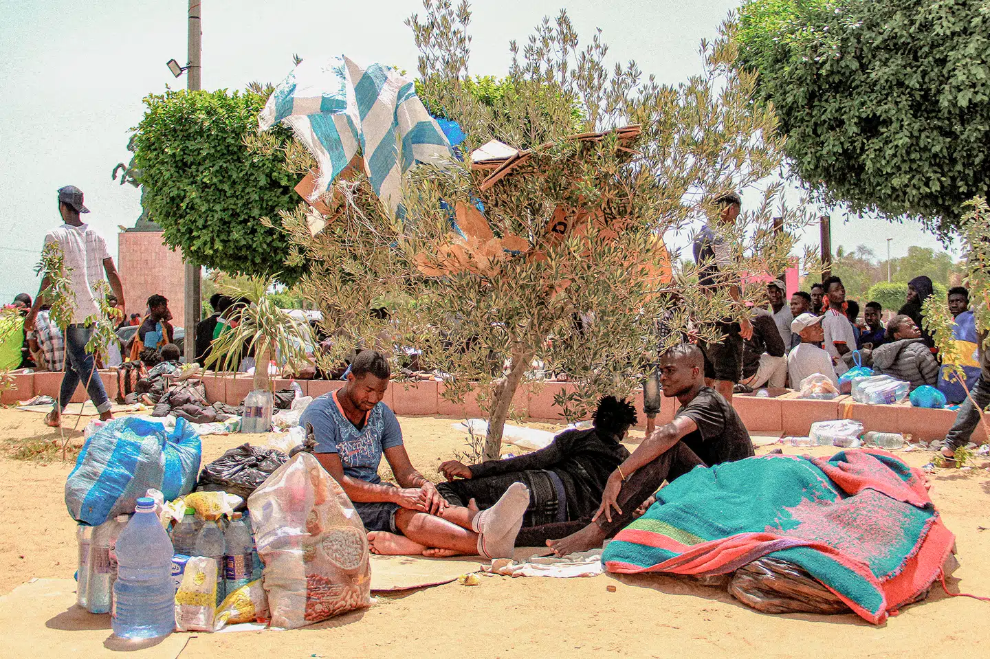 Immigranter i en olivenlund uden for den store, tunesiske menneskesmuglerby Sfax, den 7. juli 2023. Tusindvis er strandet i byen og lever under horrible forhold. Foto: Houssem Zouari, Scanpix