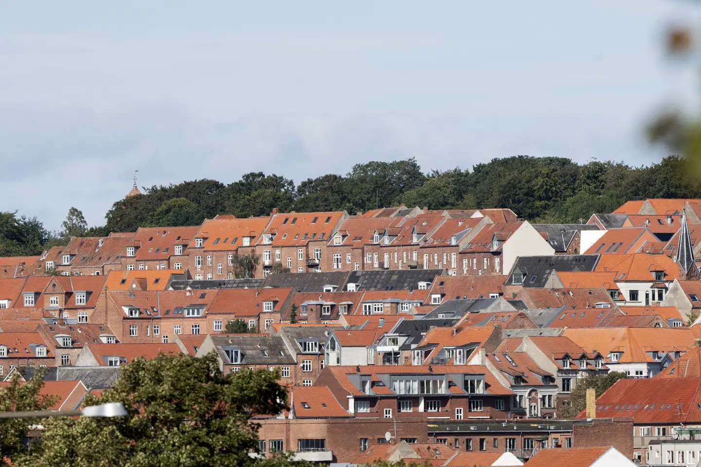 Ifølge Totalkredit er det særligt boligejere med afdragsfri lån, der har forkortet deres rentebinding ved at gå fra F3 til F1, som får en markant stigning i renten. F1 er landet på 3,88 procent. (Arkivfoto).