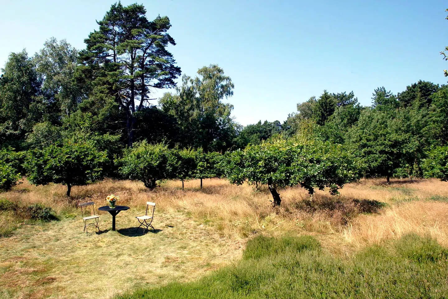 »Der tales rigtig meget om manglende biodiversitet og mangel på områder, der ikke bebygges, i den offentlige debat. Men de nye ejendomsvurderinger gør jo, at man nærmest er pinedød nød til at udstykke og bygge på hver og en ledig kvadratmeter, da man jo bliver beskattet af et potentiale.«