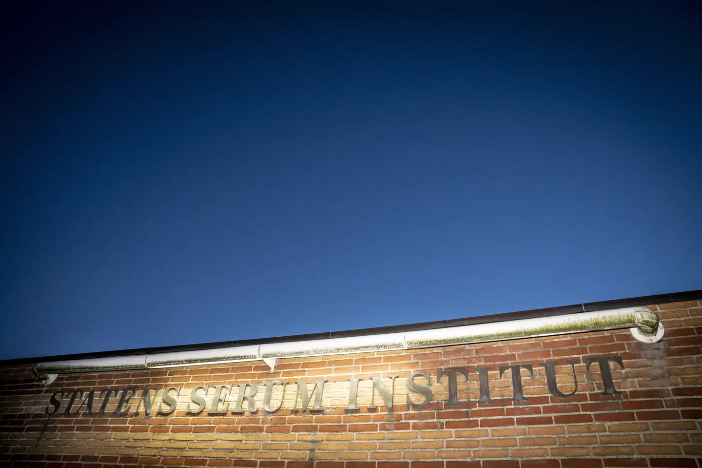 Efter stigende tilfælde af mycoplasma-infektioner de seneste uger, skriver Statens Serum Institut onsdag, at der nu er en epidemi i Danmark. (Arkivfoto).