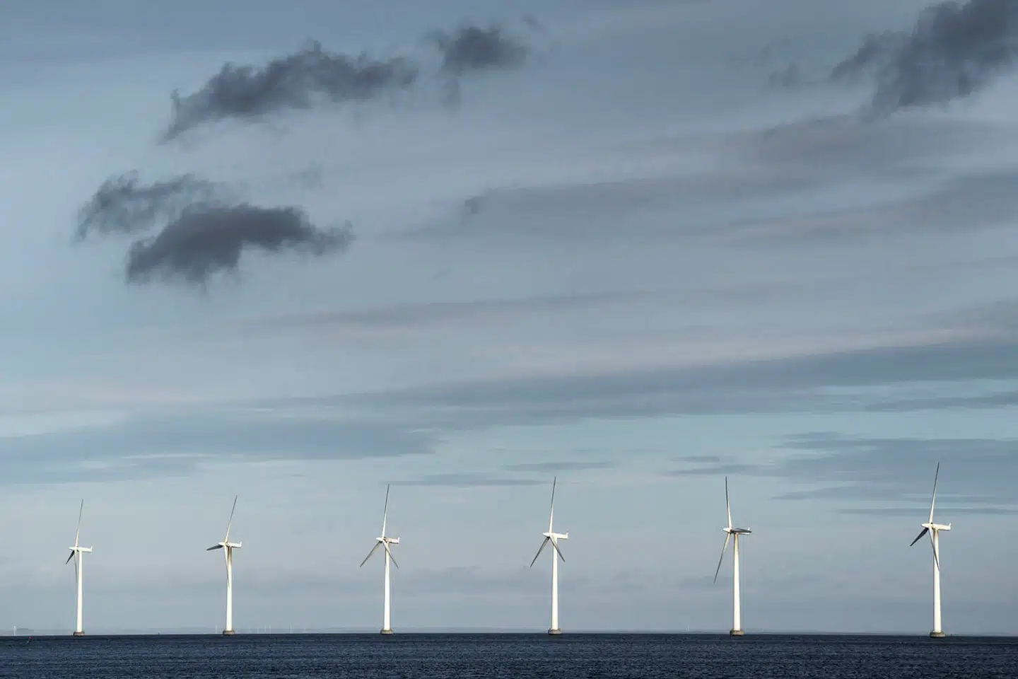 Kødindustriens repræsentanter har forberedt sig på at betale store beløb på mellem 10.000 og 2000.000 amerikanske dollar for at sponsere og dermed påvirke visse områder af konferencen. Det skriver avisen The Guardian.