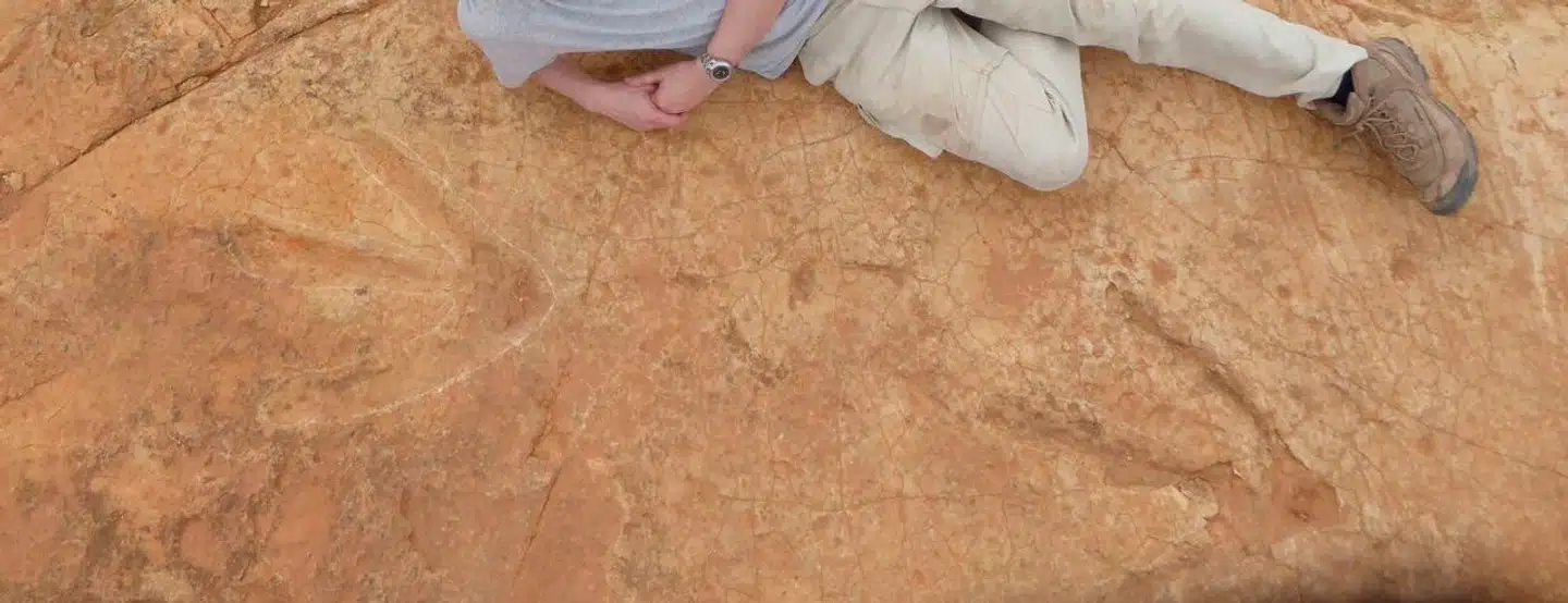 Fodsporene i Lesotho har længe haft navnet »trisauropodiscus« på grund af de tre tydelige tæer. Arkivfoto: Fabien Knoll, Scanpix