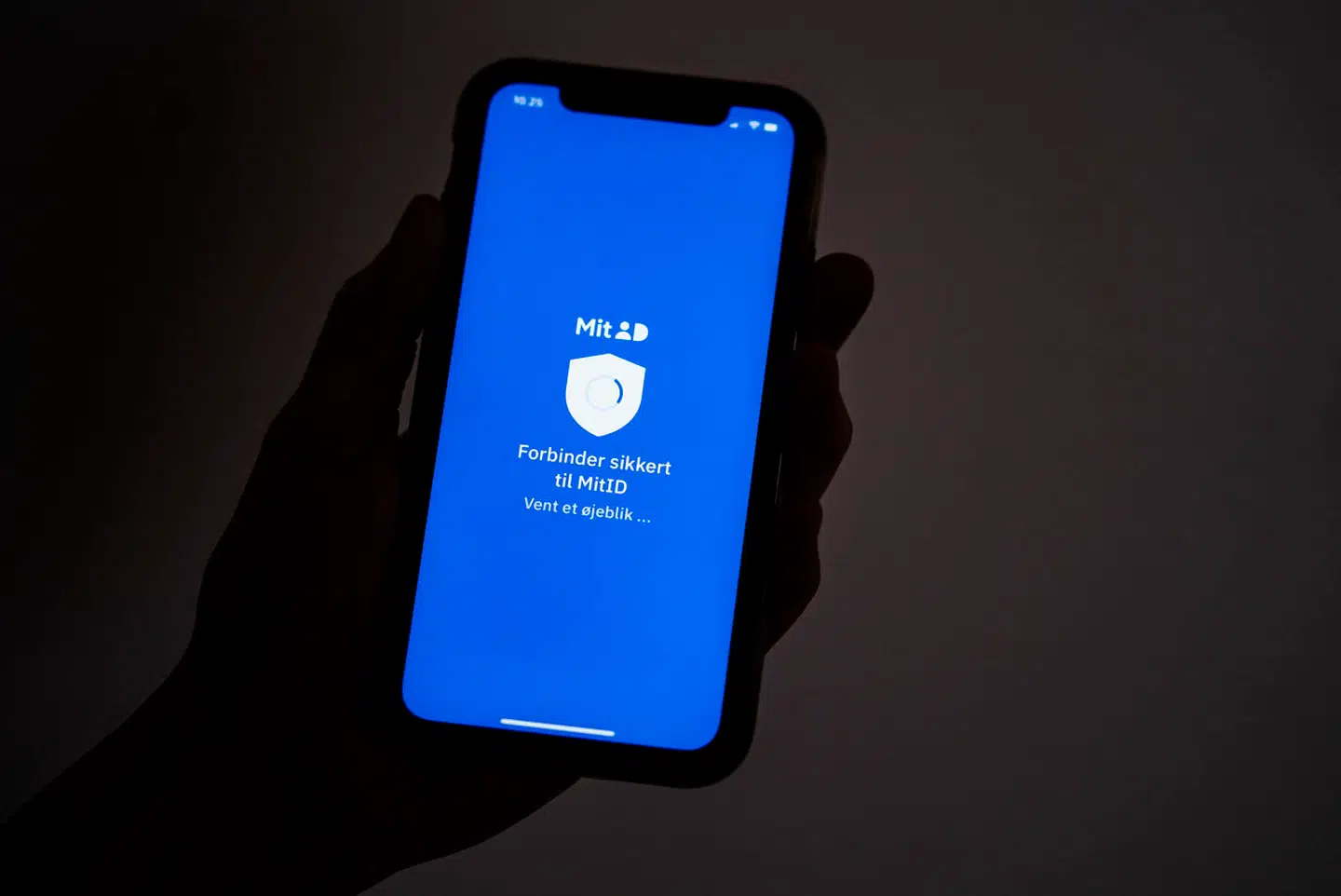 De digitale bankrøvere lykkes ofte med at få adgang til kundernes MitID og dermed i sidste ende deres bankkonti.