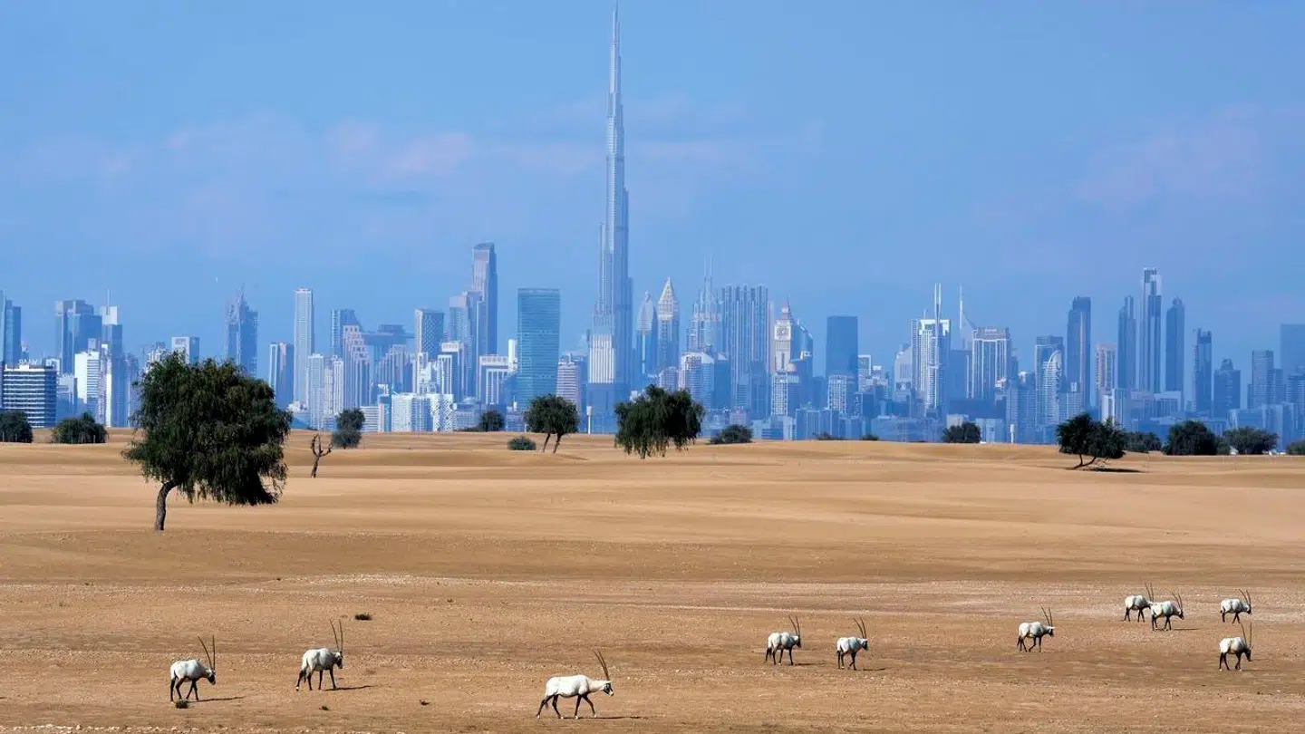 En dansker er blevet tilbageholdt i Dubai, bekræfter Udenrigsministeriet over for B.T.