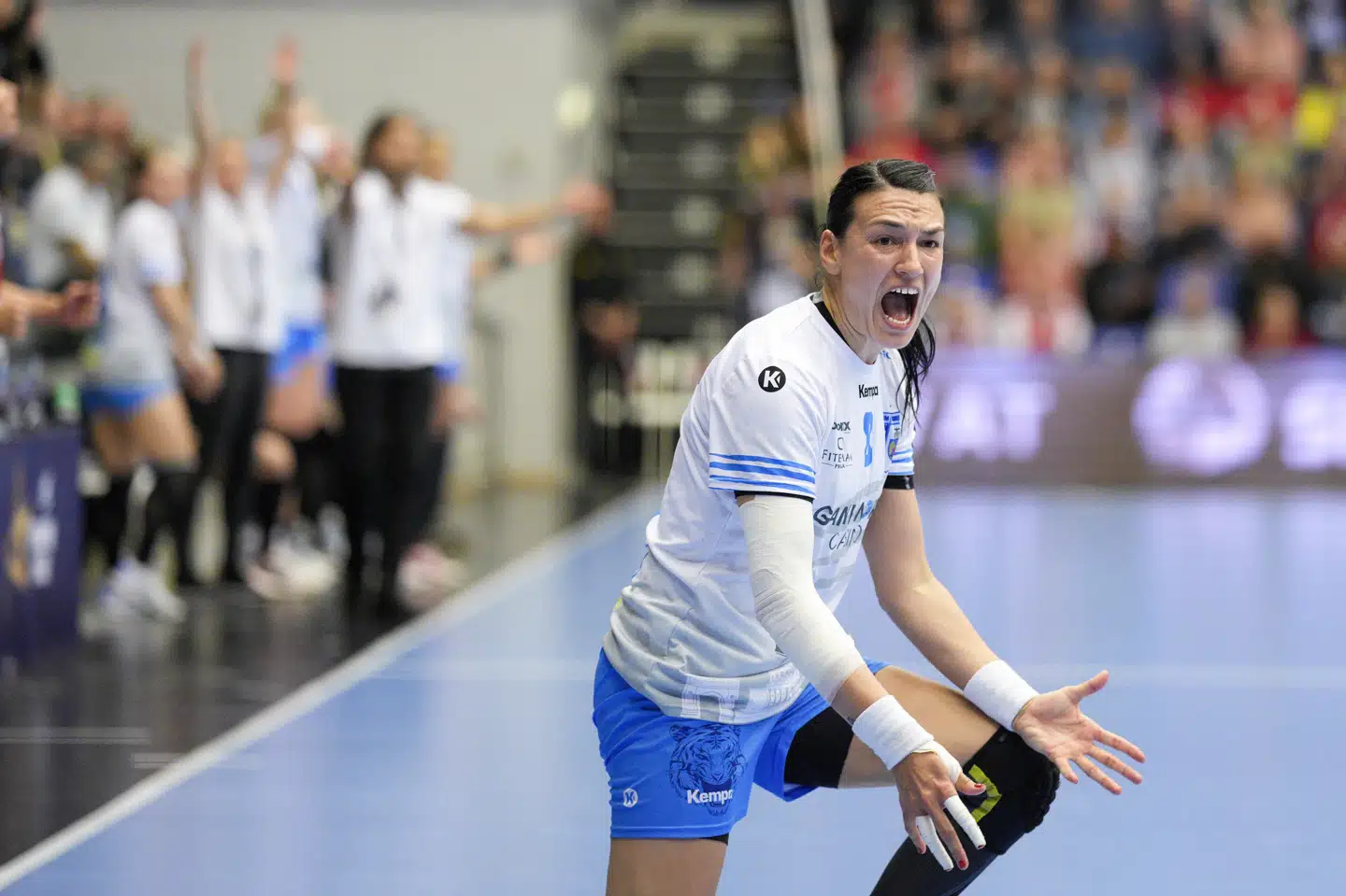 Cristina Neagu har været en af verdens bedste i mere end et årti. (Arkivfoto).