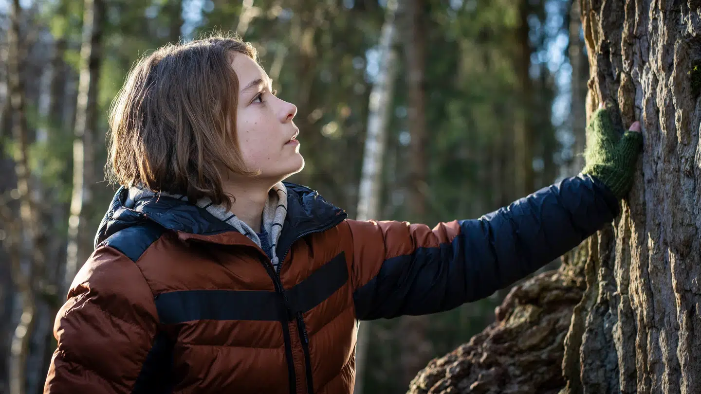 Valde foran det magiske træ.