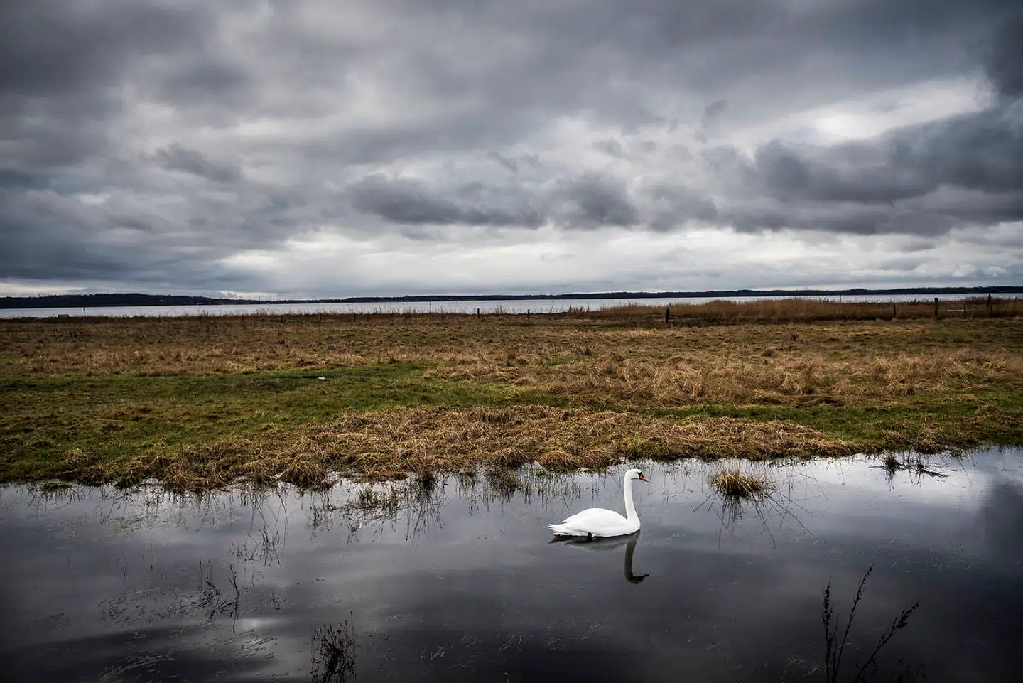 Roskilde fjord ved udløbet af Havelse å mellem Frederikssund og Frederiksværk