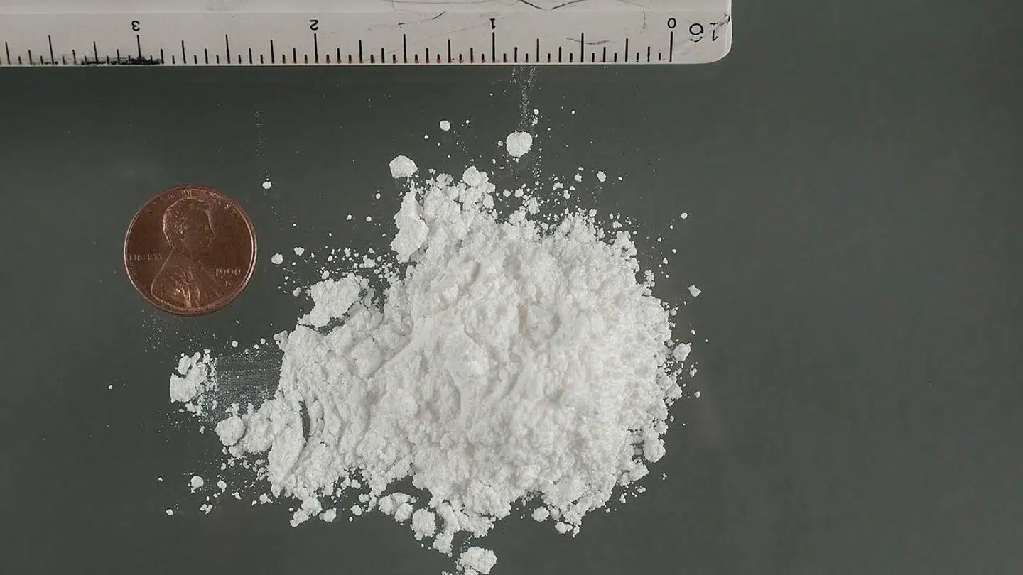 De tre dømte er henholdsvis dømt for 27, 20 og 17 kilo kokain, som de indbyrdes stod for at for smuglet ind i Danmark og ud til misbrugere på gaden. Tusindvis af beskeder på krypterettjenester, hvor de tre skrev om handlerne, pris, leveringssted og kodeord blev fældende.