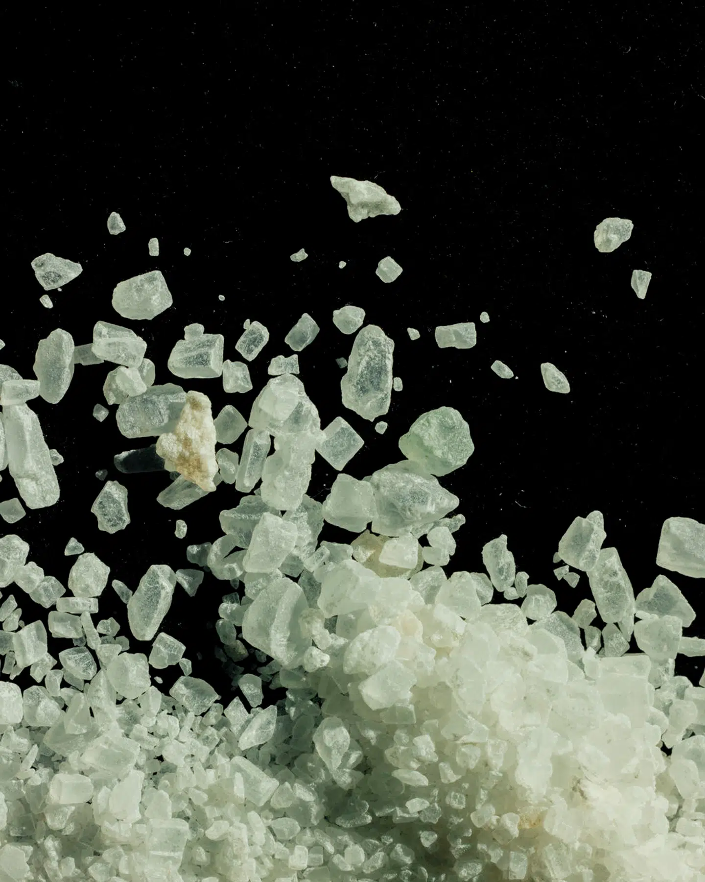 Foto: Tobias Nicolai