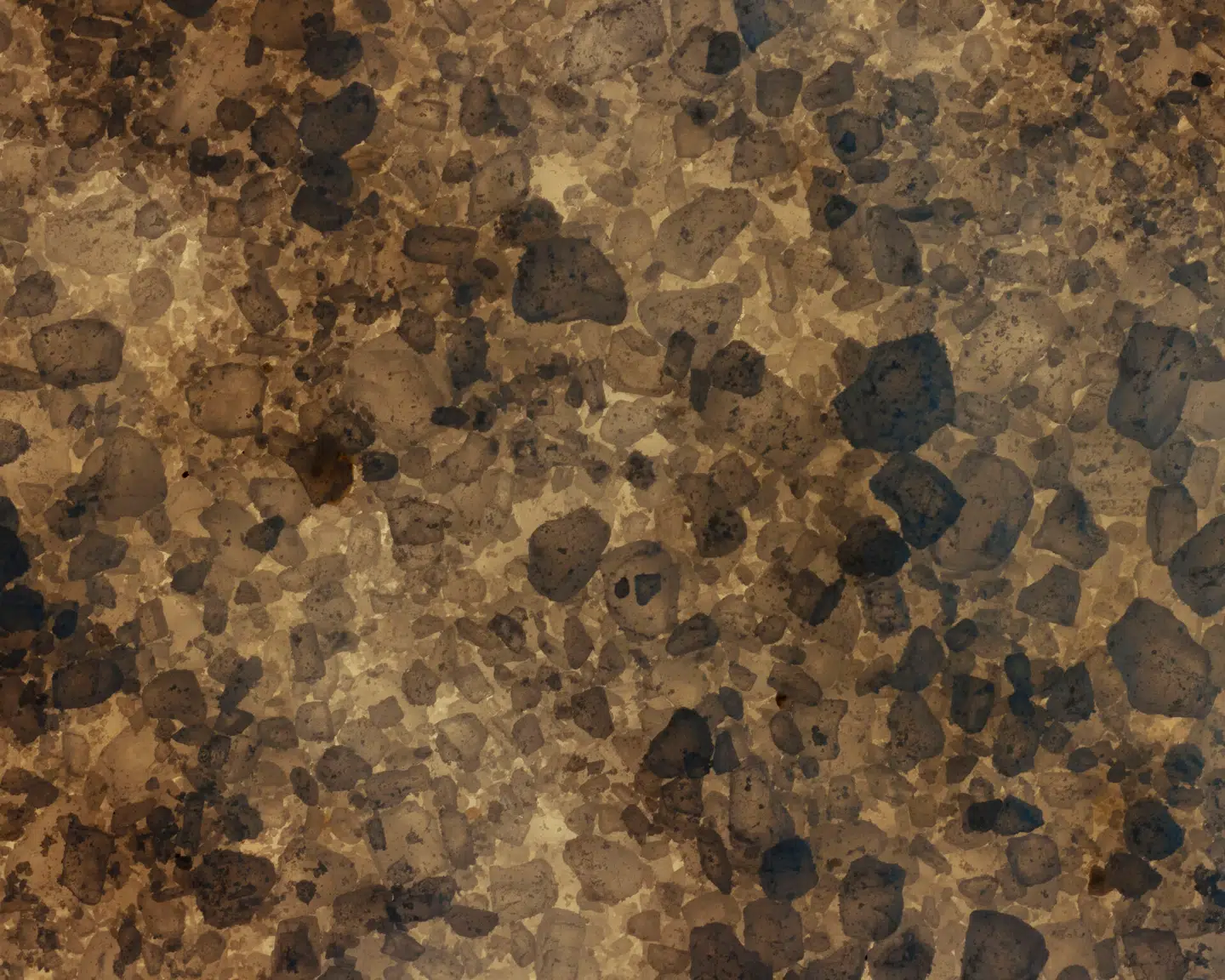 Foto: Tobias Nicolai