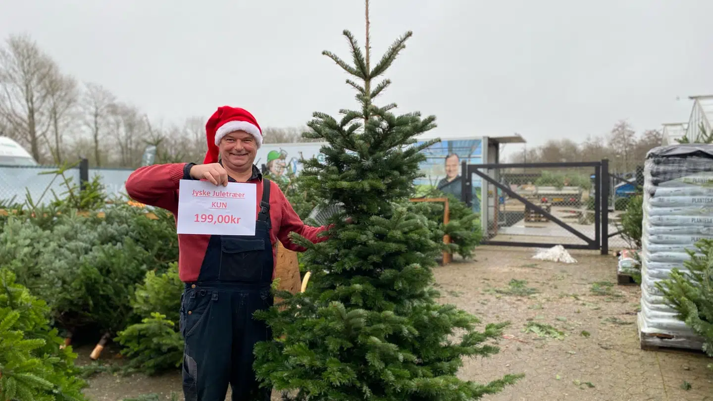 Her ses Flemming Hansen, der er indehaver af Grøntbørsen i Esbjerg. med det juletræ på 230 centimeter, der koster 199 kroner.