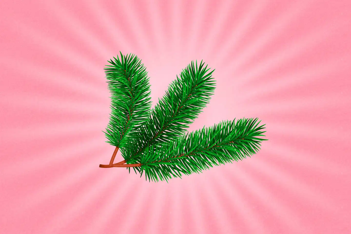 Collage Mathias Hoeg