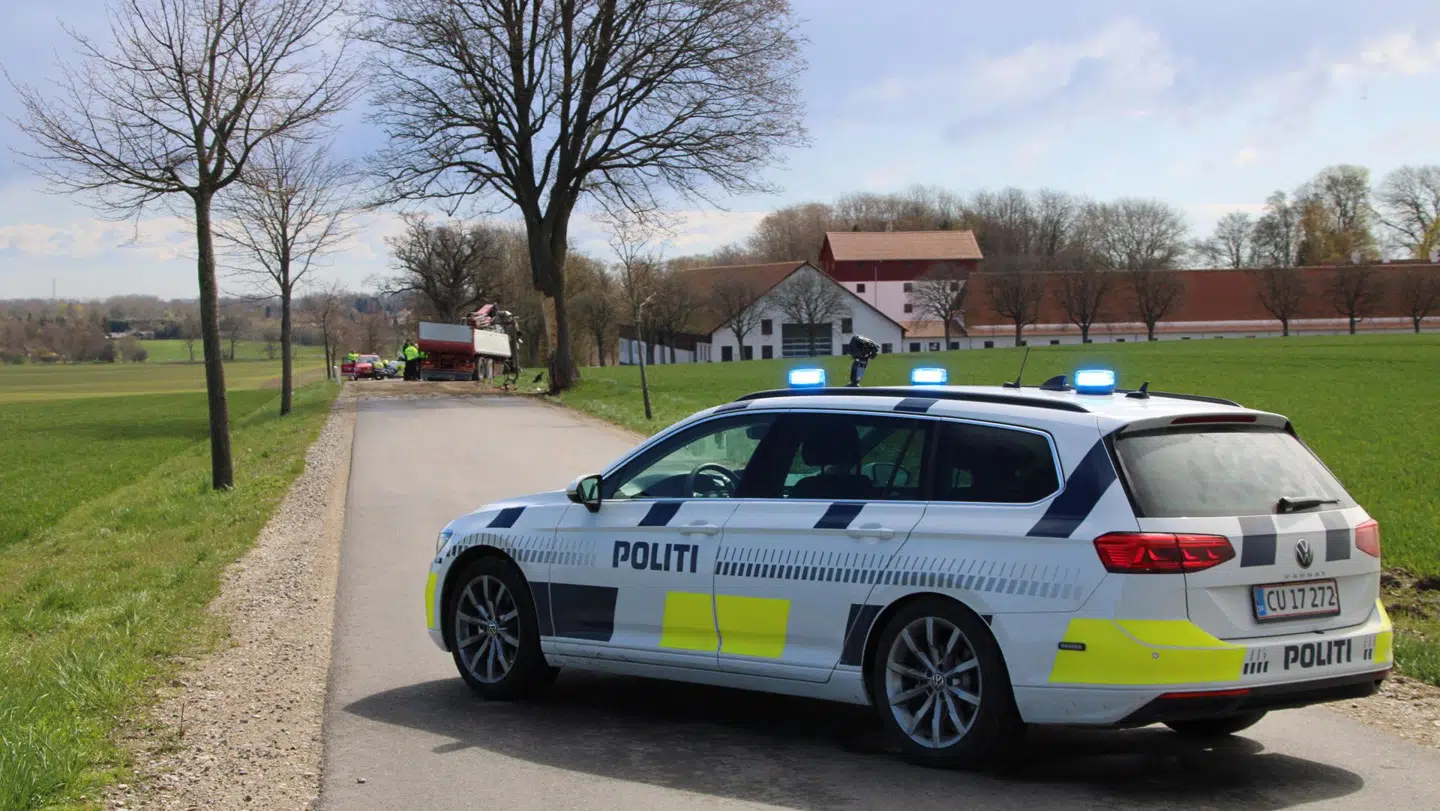 Lastbilen ramte først træet og kørte siden i grøften.