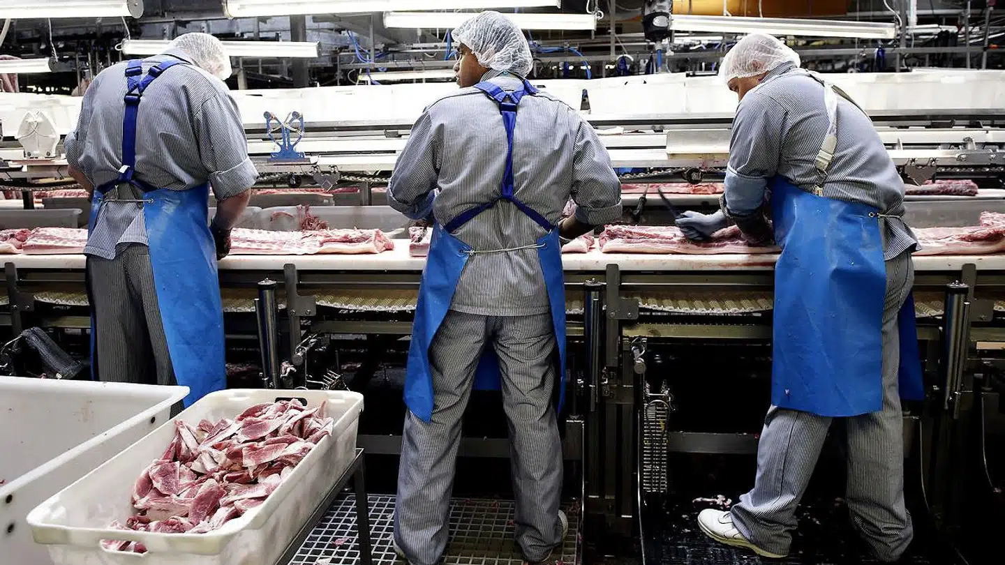 (ARKIV) Danish Crown Slagteri i Ringsted. (Foto: LISELOTTE SABROE/Scanpix 2018)